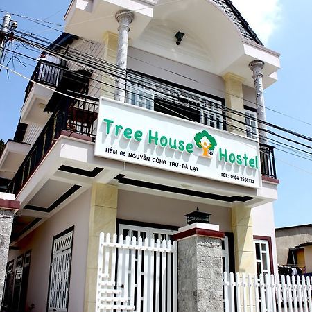 Tree House Hostel ダラット エクステリア 写真